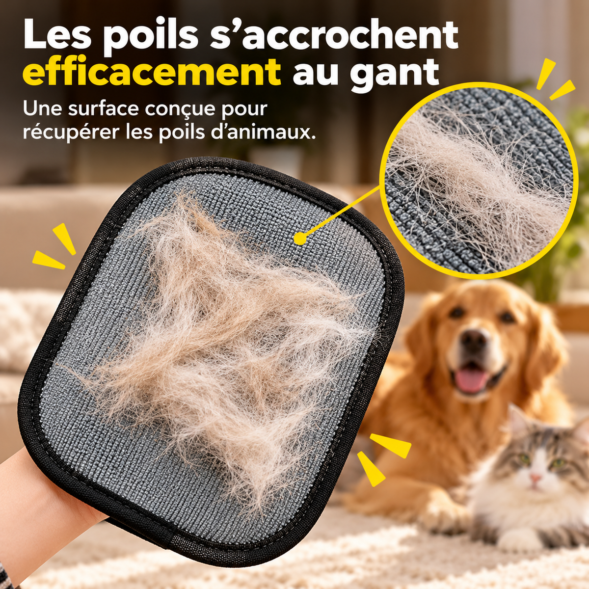 Pelvia™ - Le gant anti-poils pour animaux